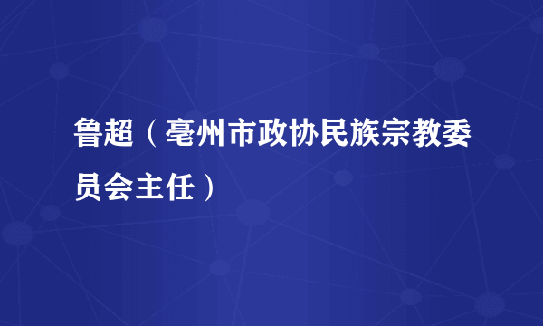 鲁超（亳州市政协民族宗教委员会主任）