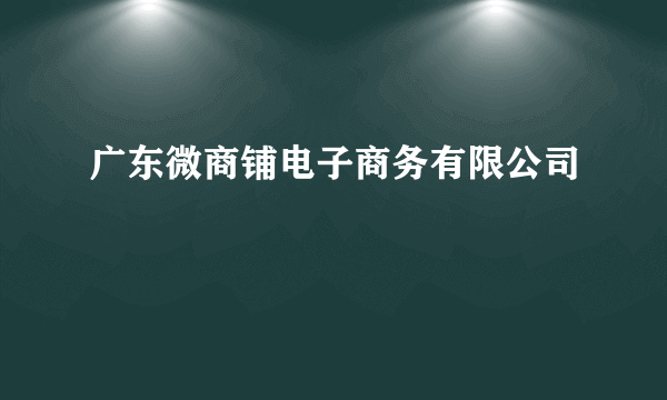 广东微商铺电子商务有限公司