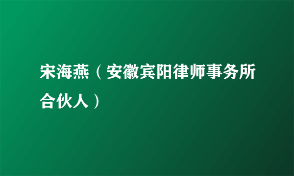 宋海燕（安徽宾阳律师事务所合伙人）