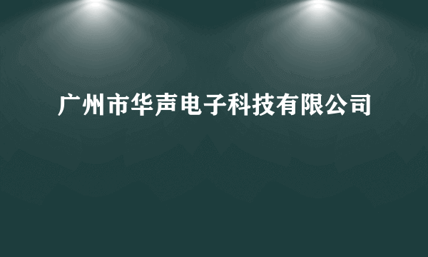 广州市华声电子科技有限公司