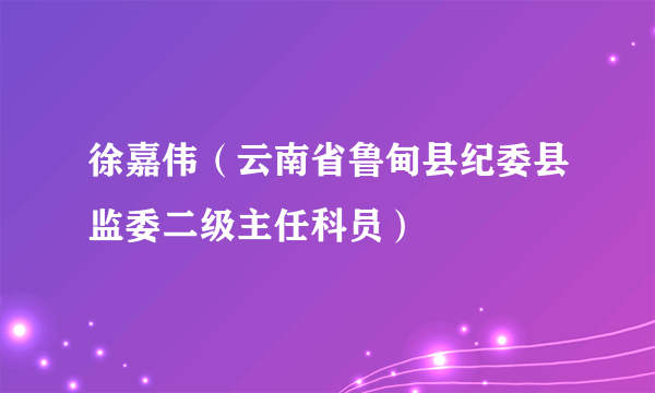 徐嘉伟（云南省鲁甸县纪委县监委二级主任科员）