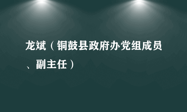 龙斌（铜鼓县政府办党组成员、副主任）