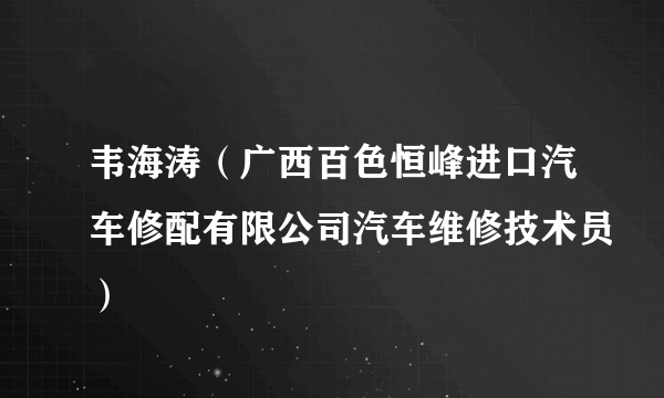 韦海涛（广西百色恒峰进口汽车修配有限公司汽车维修技术员）