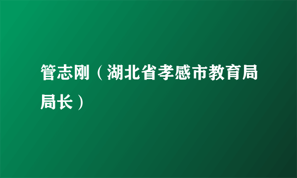 管志刚（湖北省孝感市教育局局长）