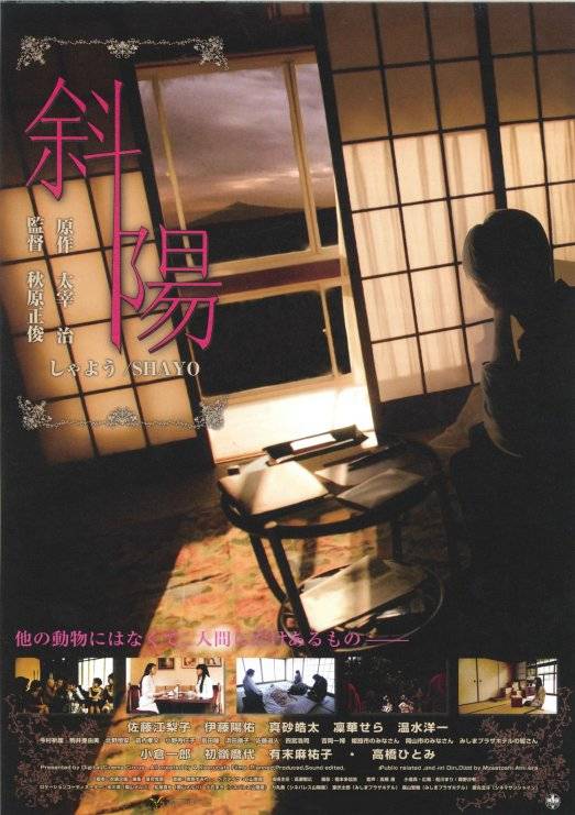 斜阳（日本2009年佐藤江梨子主演的电影）