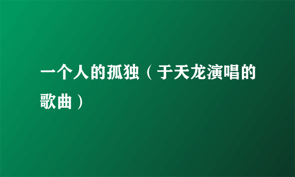 一个人的孤独（于天龙演唱的歌曲）