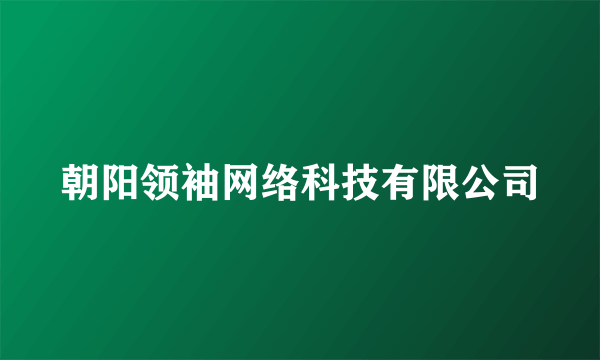 朝阳领袖网络科技有限公司