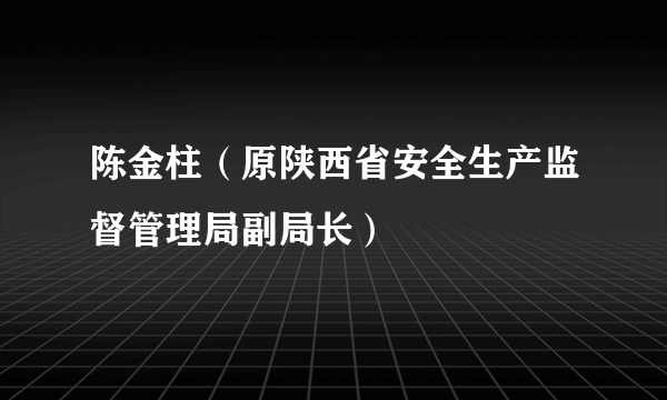 陈金柱（原陕西省安全生产监督管理局副局长）