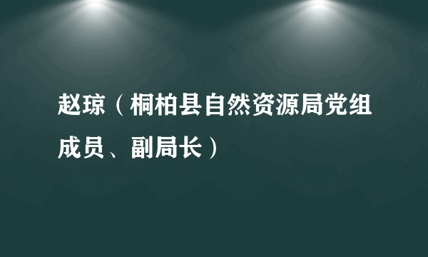 赵琼（桐柏县自然资源局党组成员、副局长）