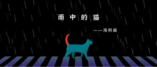 雨中的猫