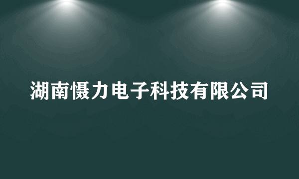 湖南慑力电子科技有限公司