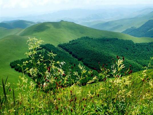 翠云山风景区