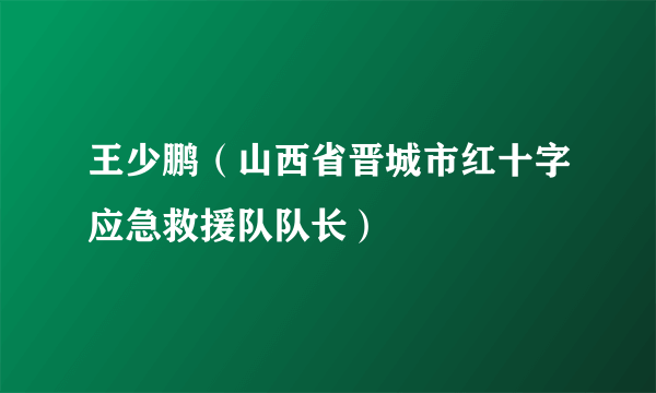 王少鹏（山西省晋城市红十字应急救援队队长）