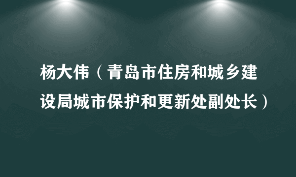 杨大伟（青岛市住房和城乡建设局城市保护和更新处副处长）