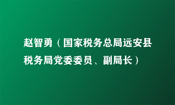 赵智勇（国家税务总局远安县税务局党委委员、副局长）