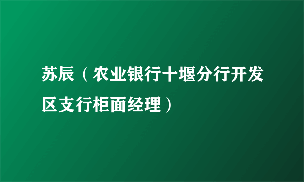 苏辰（农业银行十堰分行开发区支行柜面经理）