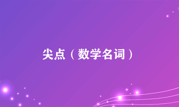 尖点（数学名词）