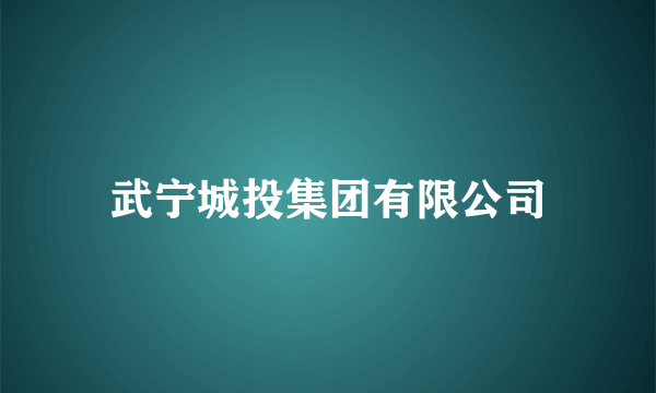 武宁城投集团有限公司