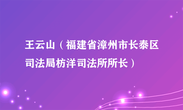 王云山（福建省漳州市长泰区司法局枋洋司法所所长）