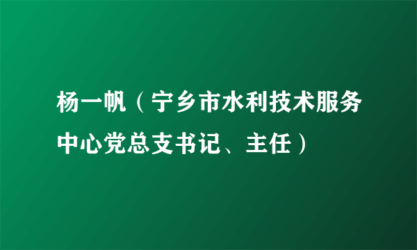 杨一帆（宁乡市水利技术服务中心党总支书记、主任）