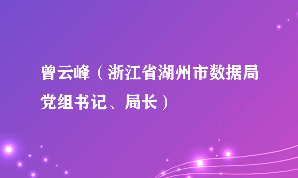 曾云峰（浙江省湖州市数据局党组书记、局长）