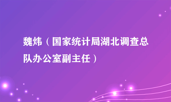 魏炜（国家统计局湖北调查总队办公室副主任）