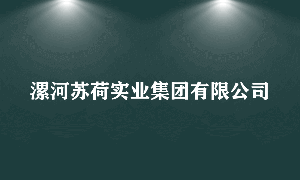 漯河苏荷实业集团有限公司