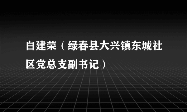 白建荣（绿春县大兴镇东城社区党总支副书记）