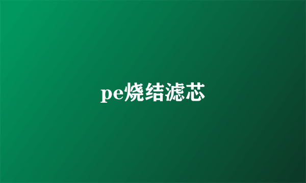 pe烧结滤芯