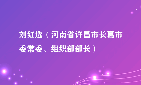 刘红选（河南省许昌市长葛市委常委、组织部部长）