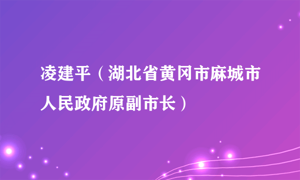 凌建平（湖北省黄冈市麻城市人民政府原副市长）