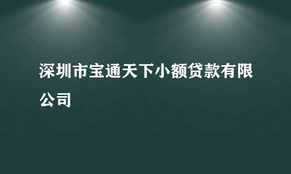 深圳市宝通天下小额贷款有限公司