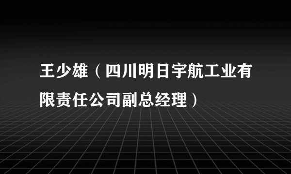 王少雄（四川明日宇航工业有限责任公司副总经理）