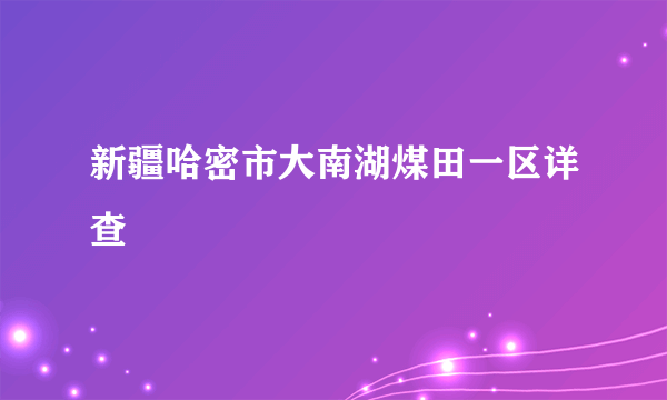 新疆哈密市大南湖煤田一区详查