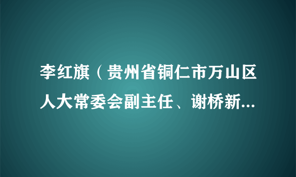 李红旗（贵州省铜仁市万山区人大常委会副主任、谢桥新区管委会主任、仁山街道党工委书记）