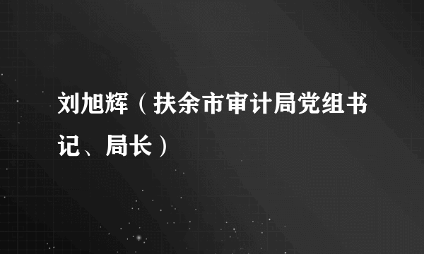 刘旭辉（扶余市审计局党组书记、局长）