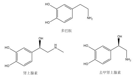 儿茶酚胺