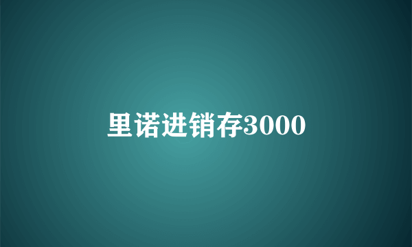 里诺进销存3000