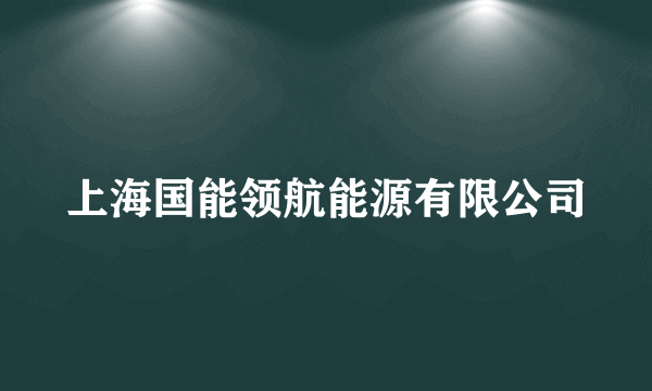 上海国能领航能源有限公司