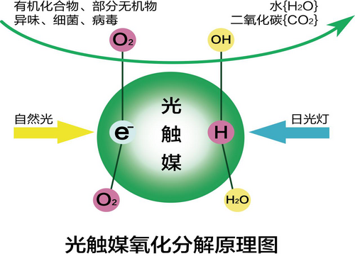 光触媒