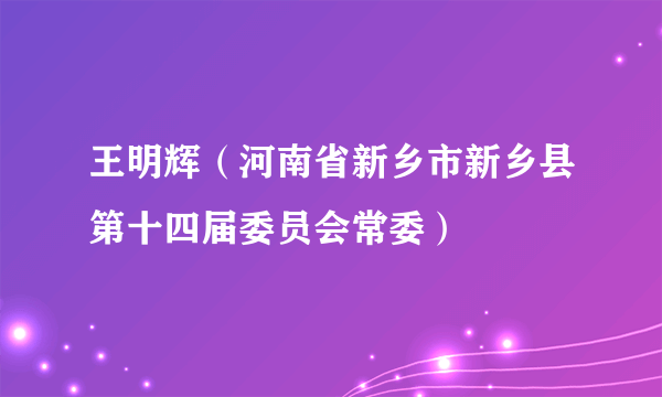 王明辉（河南省新乡市新乡县第十四届委员会常委）