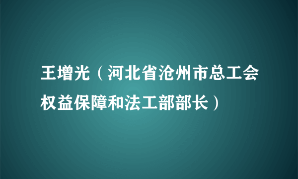 王增光（河北省沧州市总工会权益保障和法工部部长）