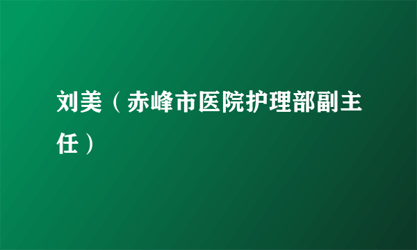 刘美（赤峰市医院护理部副主任）