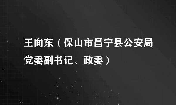 王向东（保山市昌宁县公安局党委副书记、政委）