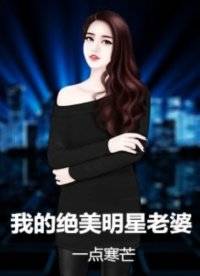 我的绝美明星老婆