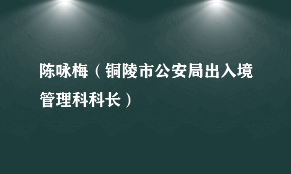 陈咏梅（铜陵市公安局出入境管理科科长）