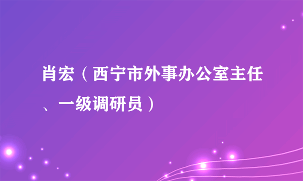 肖宏（西宁市外事办公室主任、一级调研员）