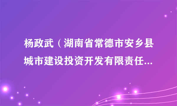 杨政武（湖南省常德市安乡县城市建设投资开发有限责任公司原董事长）