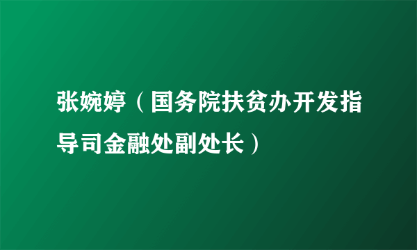 张婉婷（国务院扶贫办开发指导司金融处副处长）