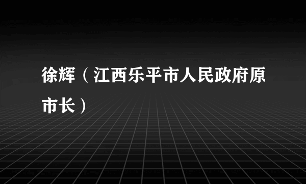 徐辉（江西乐平市人民政府原市长）